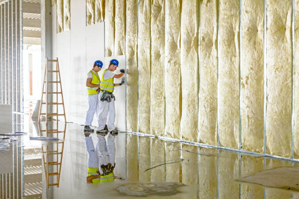 Best Eco-Friendly Insulation in Manhattan, MT